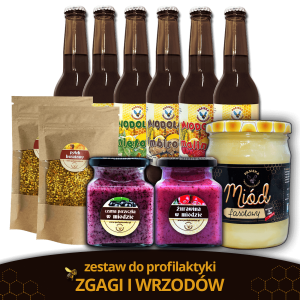 Drugi zestaw do profilaktyki wrzodów żołądka i dwunastnicy