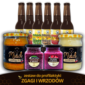 Pierwszy zestaw do profilaktyki wrzodów żołądka i dwunastnicy